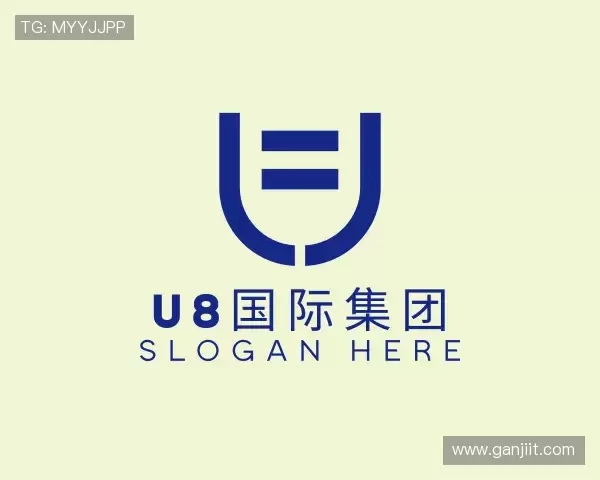 了解U8国际集团